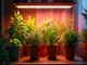 diy-led-grow-light-strips-selber-bauen-dein-leitfaden-fuer-gesunde-pflanzen